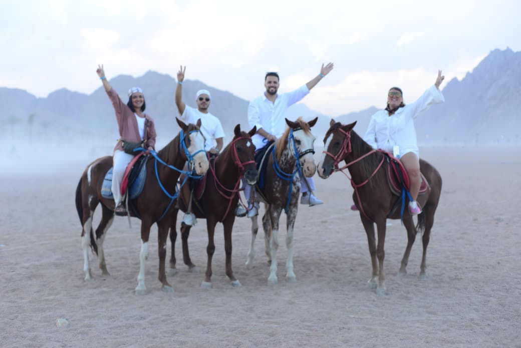 Sinai Desert Horse Riding Tour
